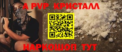 шишки Будённовск